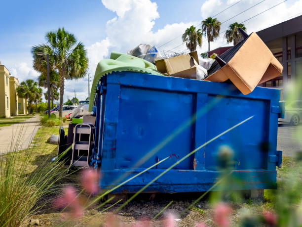 Best Household Junk Removal  in Cedaredge, CO